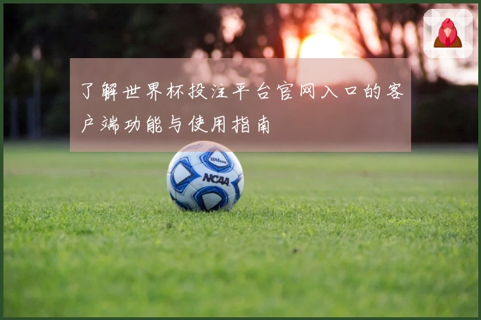 了解世界杯投注平台官网入口的客户端功能与使用指南