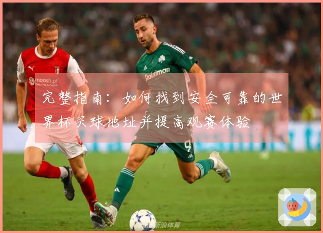 完整指南：如何找到安全可靠的世界杯买球地址并提高观赛体验