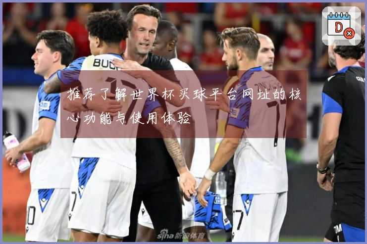 推荐了解世界杯买球平台网址的核心功能与使用体验
