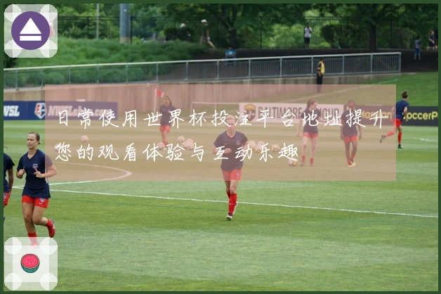 日常使用世界杯投注平台地址提升您的观看体验与互动乐趣
