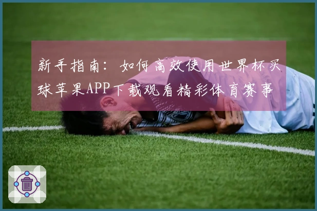 新手指南：如何高效使用世界杯买球苹果APP下载观看精彩体育赛事