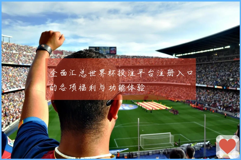 全面汇总世界杯投注平台注册入口的各项福利与功能体验