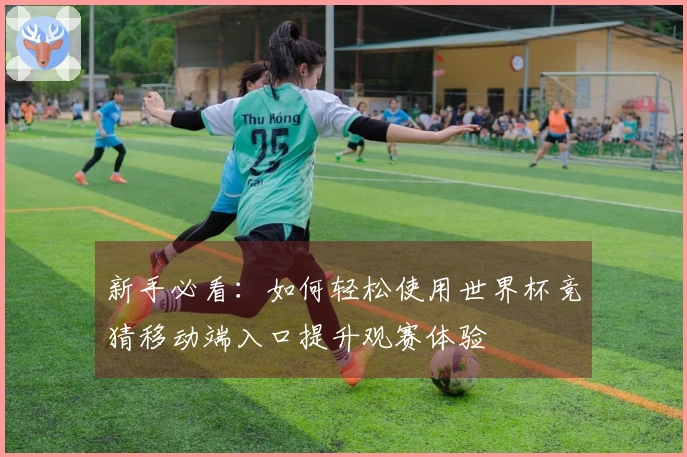 新手必看：如何轻松使用世界杯竞猜移动端入口提升观赛体验