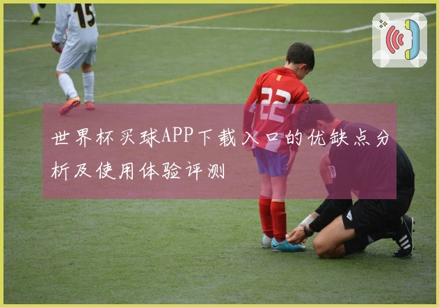 世界杯买球APP下载入口的优缺点分析及使用体验评测