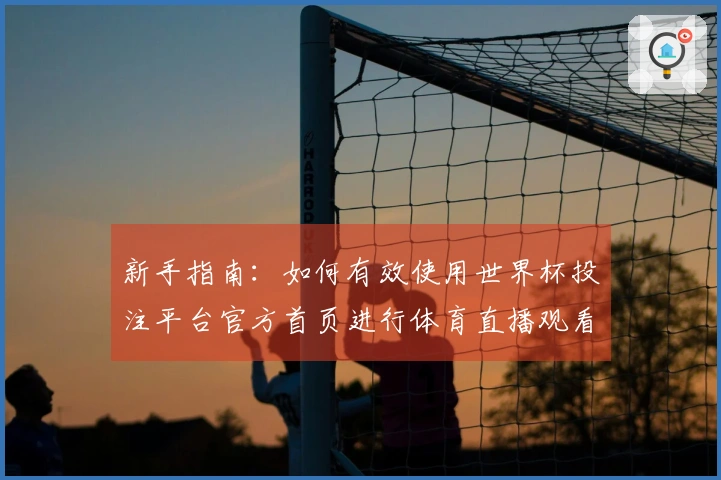 新手指南：如何有效使用世界杯投注平台官方首页进行体育直播观看