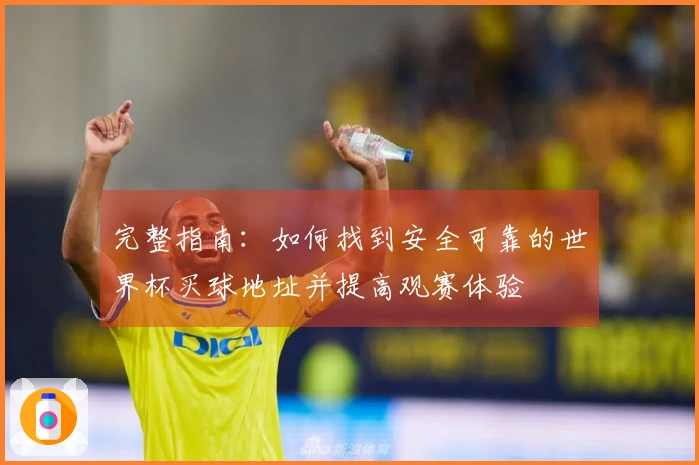 完整指南：如何找到安全可靠的世界杯买球地址并提高观赛体验