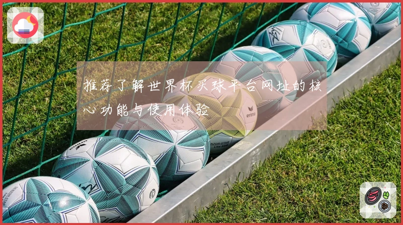 推荐了解世界杯买球平台网址的核心功能与使用体验